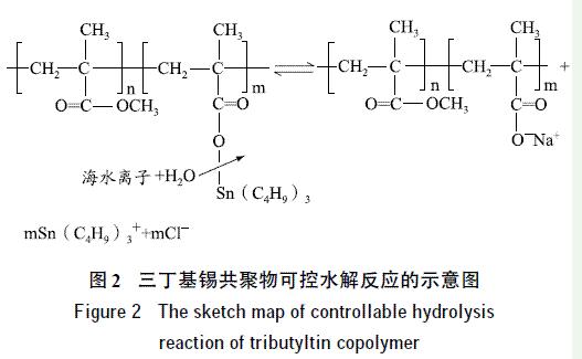 圖2 三丁基錫共聚物可控水解反應(yīng)的示意圖