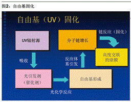 圖2 自由基固化